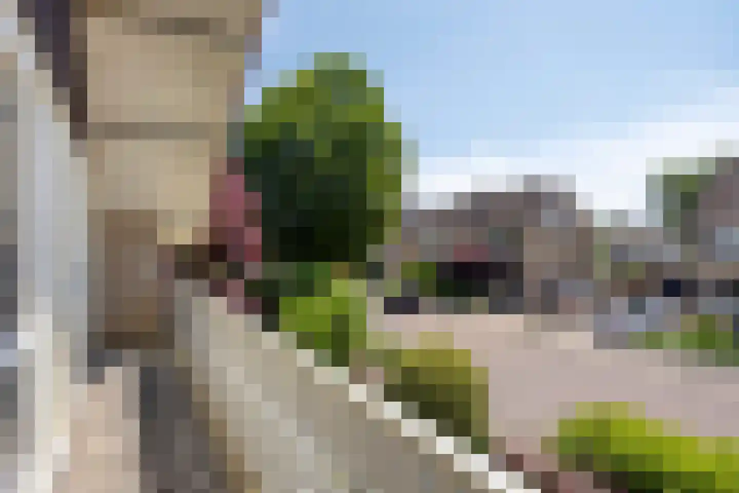 Goudenregenstraat 28 Borne thumbnail 24