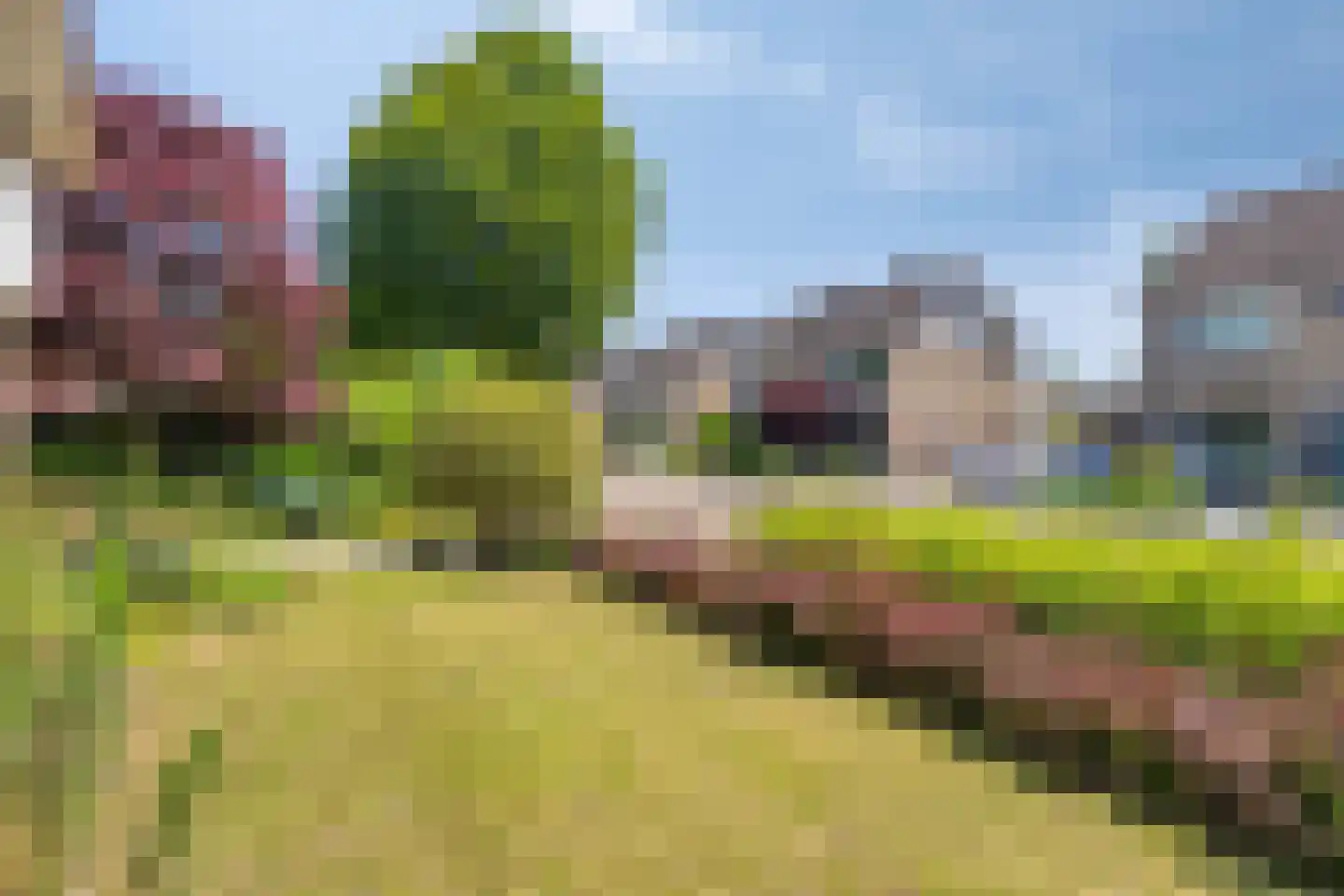 Goudenregenstraat 28 Borne thumbnail 38