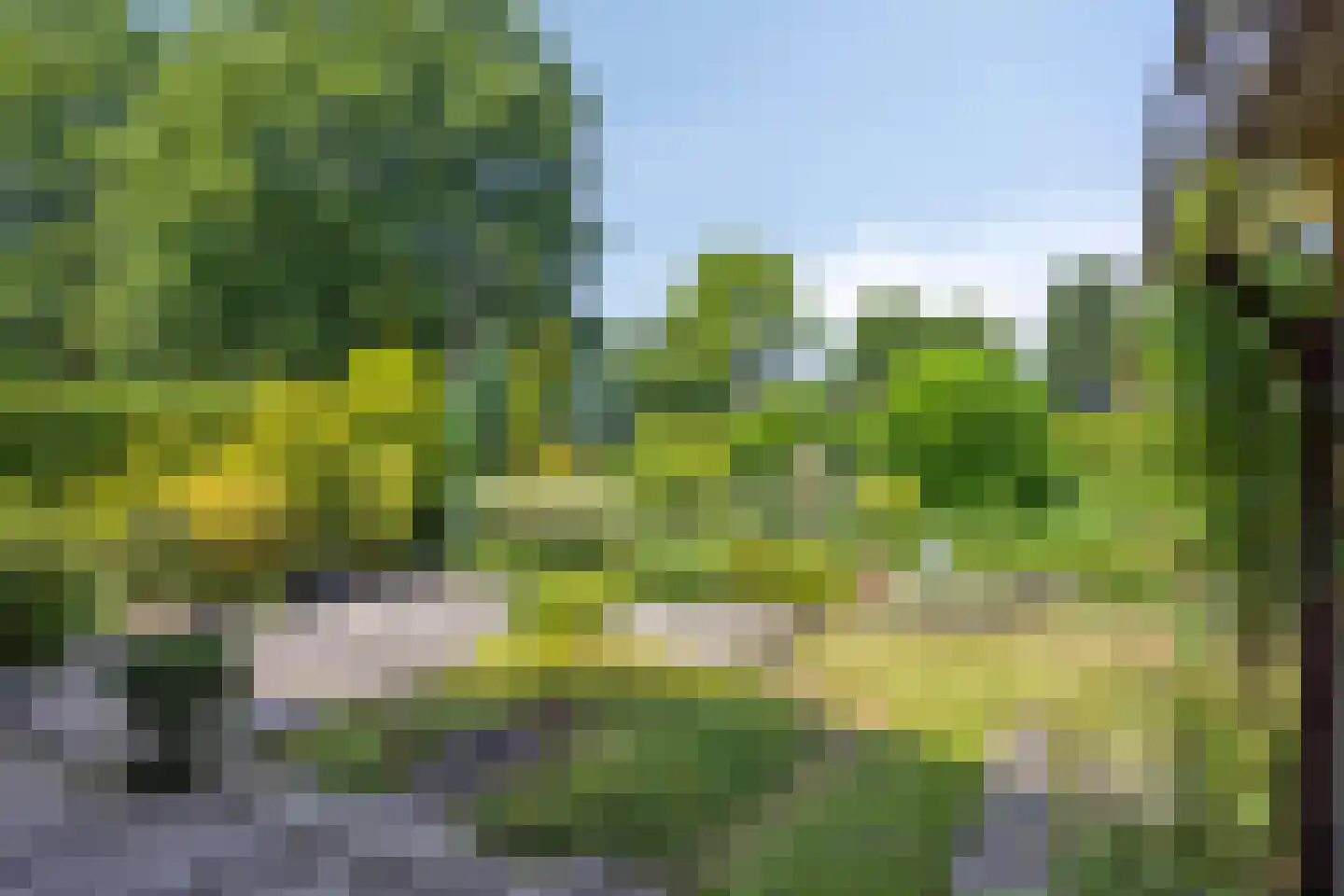 Goudenregenstraat 28 Borne thumbnail 8