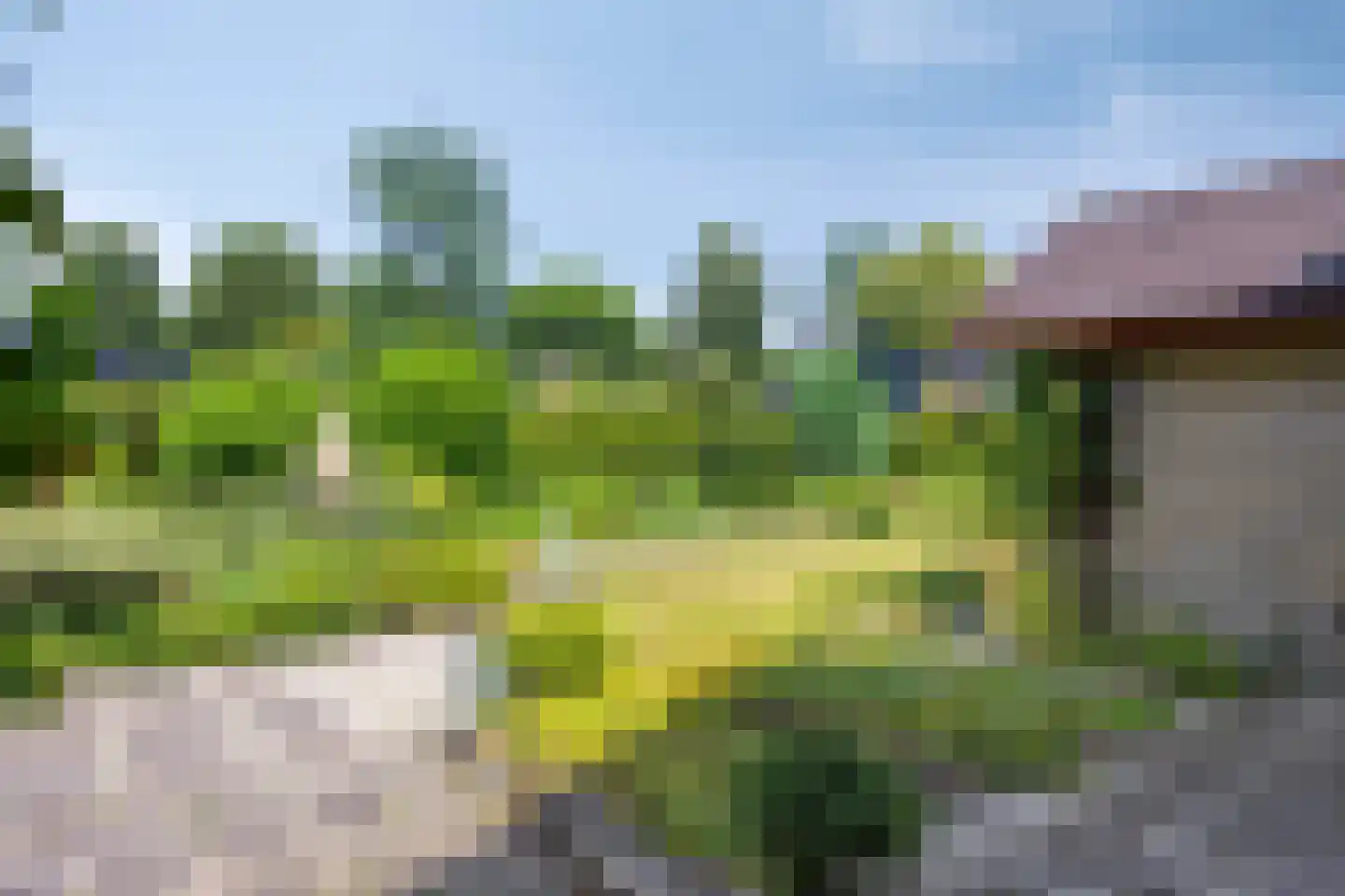 Goudenregenstraat 28 Borne thumbnail 9