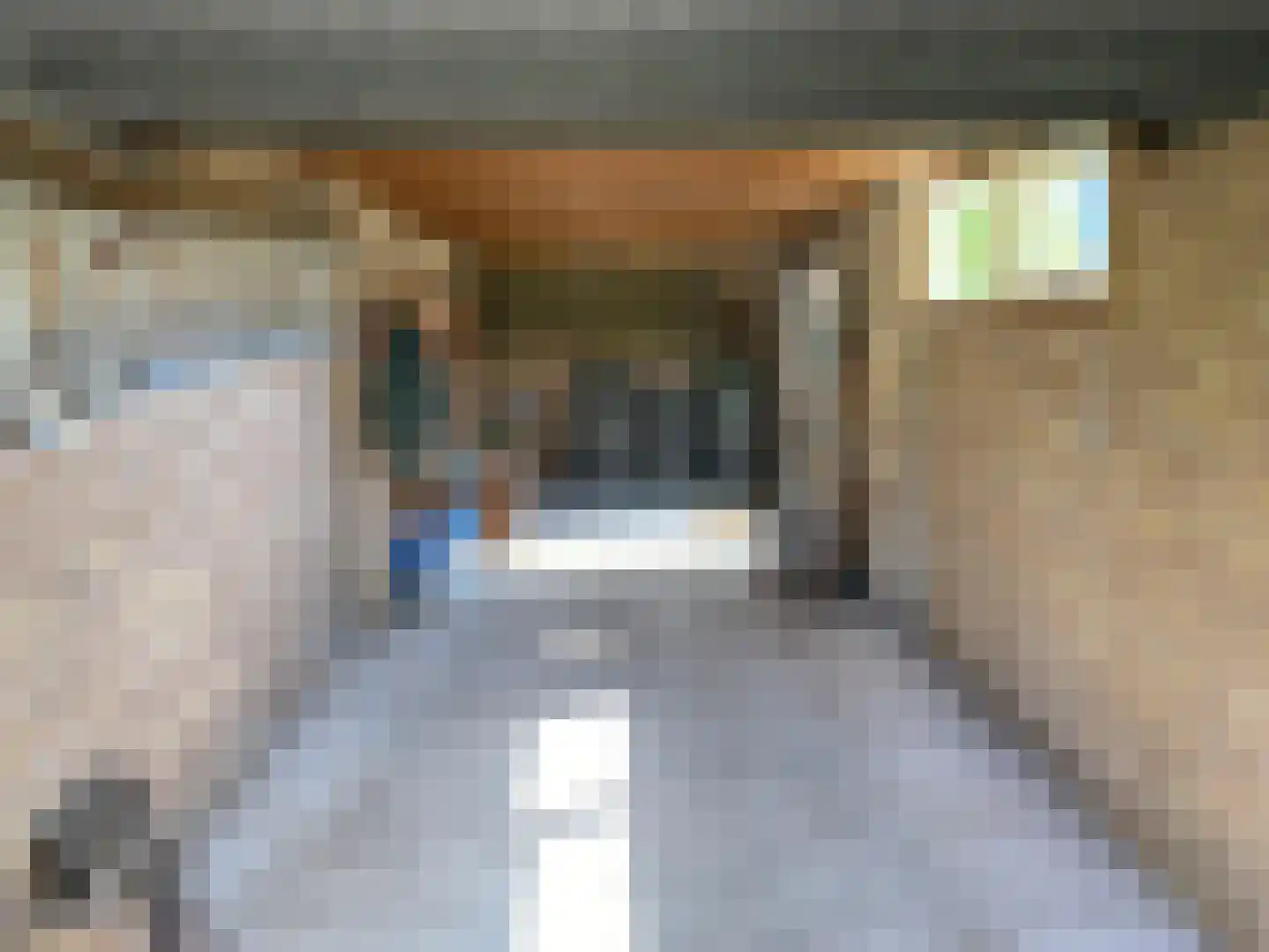 Goudenregenstraat 29 Borne thumbnail 34