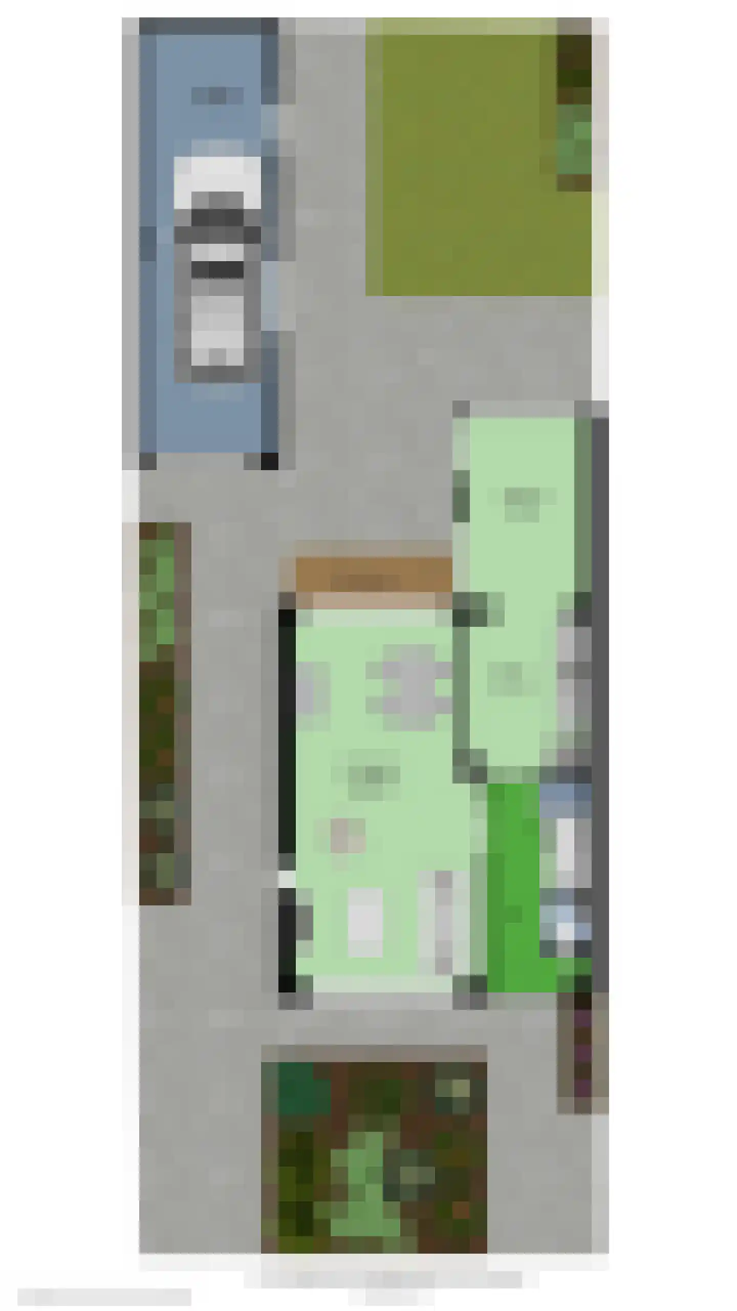 Goudenregenstraat 29 Borne thumbnail 44