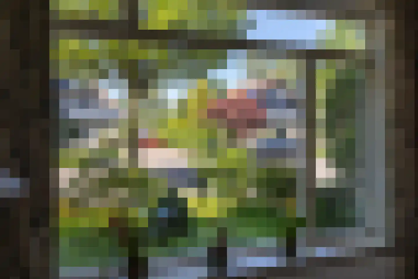 Goudenregenstraat 29 Borne thumbnail 6