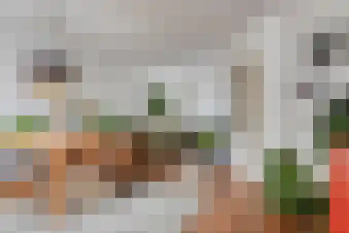 Goudenregenstraat 3 Eindhoven thumbnail 11