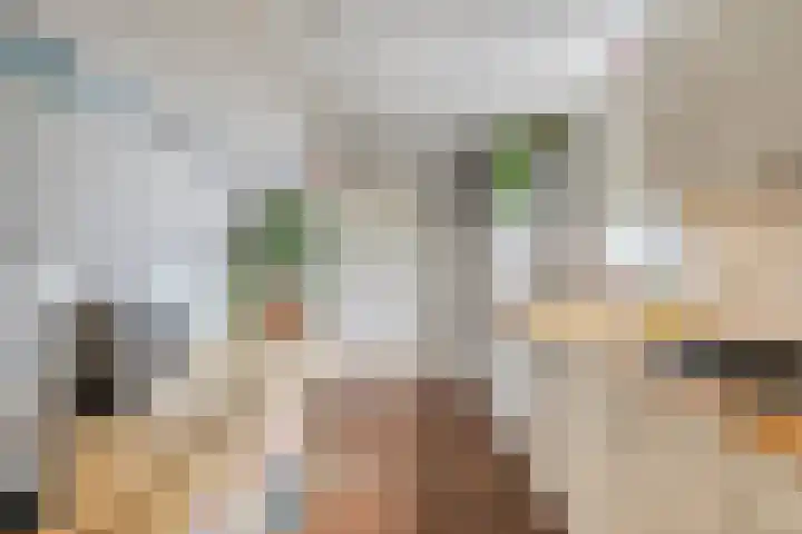 Goudenregenstraat 3 Eindhoven thumbnail 12