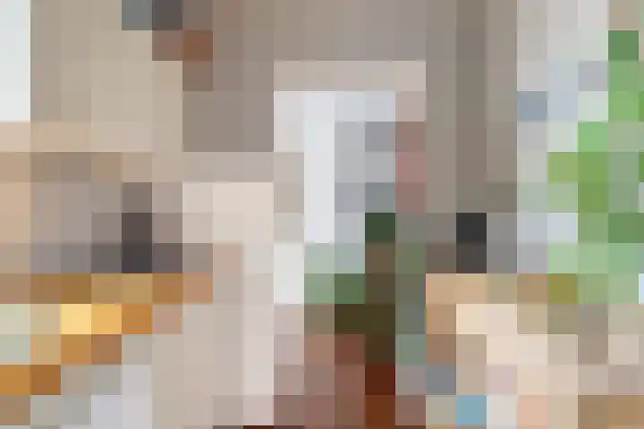 Goudenregenstraat 3 Eindhoven thumbnail 14