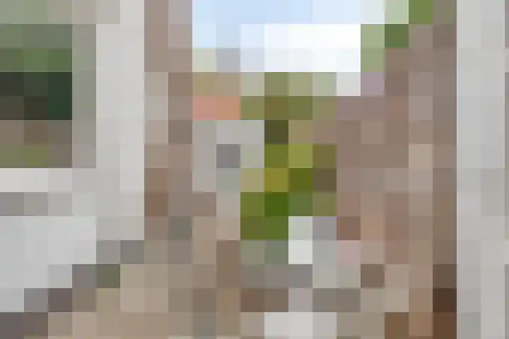 Goudenregenstraat 3 Eindhoven thumbnail 30
