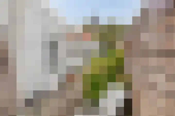 Goudenregenstraat 3 Eindhoven thumbnail 31