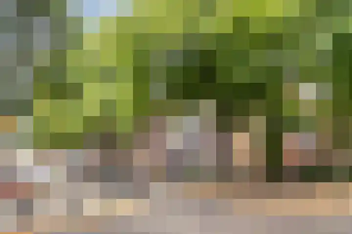 Goudenregenstraat 3 Eindhoven thumbnail 34