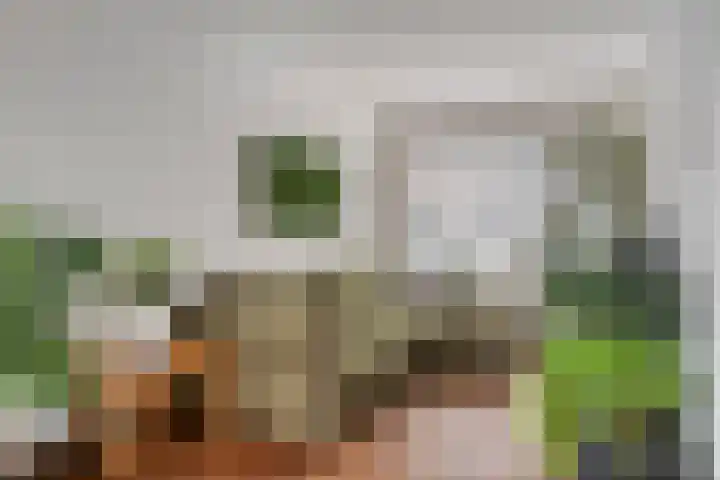 Goudenregenstraat 3 Eindhoven thumbnail 6