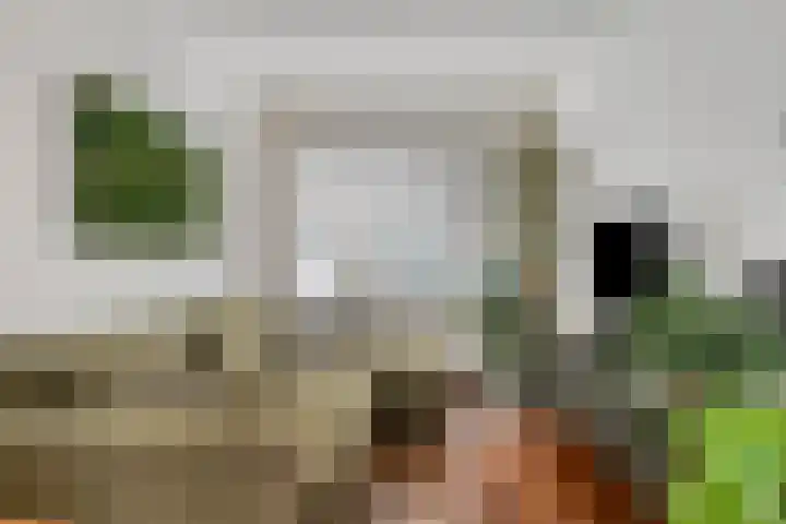 Goudenregenstraat 3 Eindhoven thumbnail 7