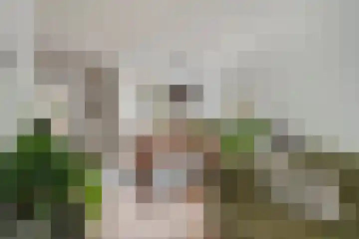 Goudenregenstraat 3 Eindhoven thumbnail 8