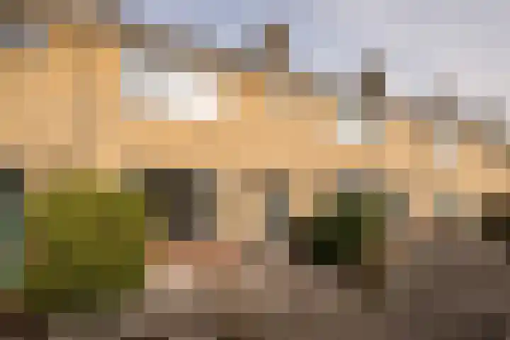 Goudenregenstraat 3 Enkhuizen thumbnail 36
