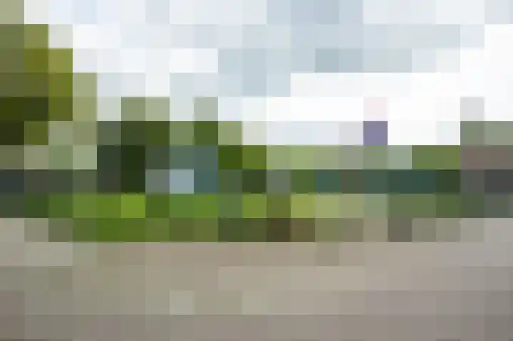 Goudenregenstraat 3 Groesbeek thumbnail 41