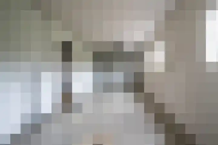 Goudenregenstraat 3 Rouveen thumbnail 32