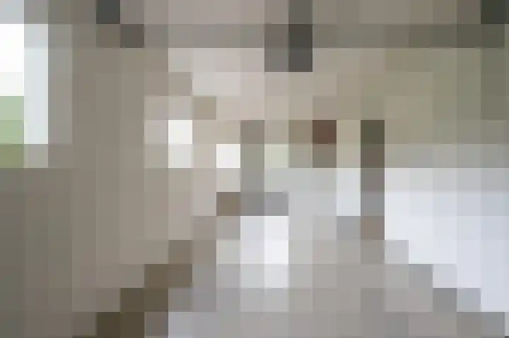 Goudenregenstraat 3 Rouveen thumbnail 33