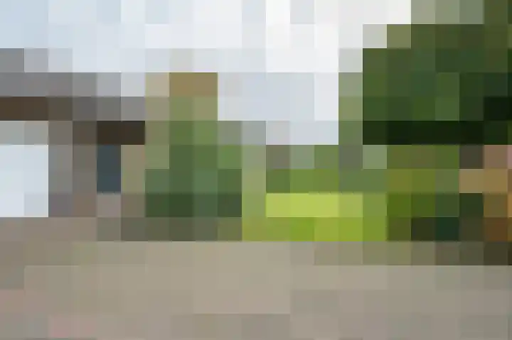 Goudenregenstraat 3 Rouveen thumbnail 36