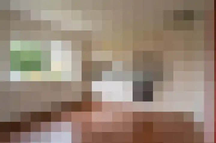 Goudenregenstraat 3 Rouveen thumbnail 4
