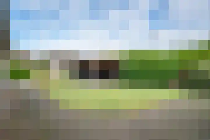 Goudenregenstraat 3 Rouveen thumbnail 41