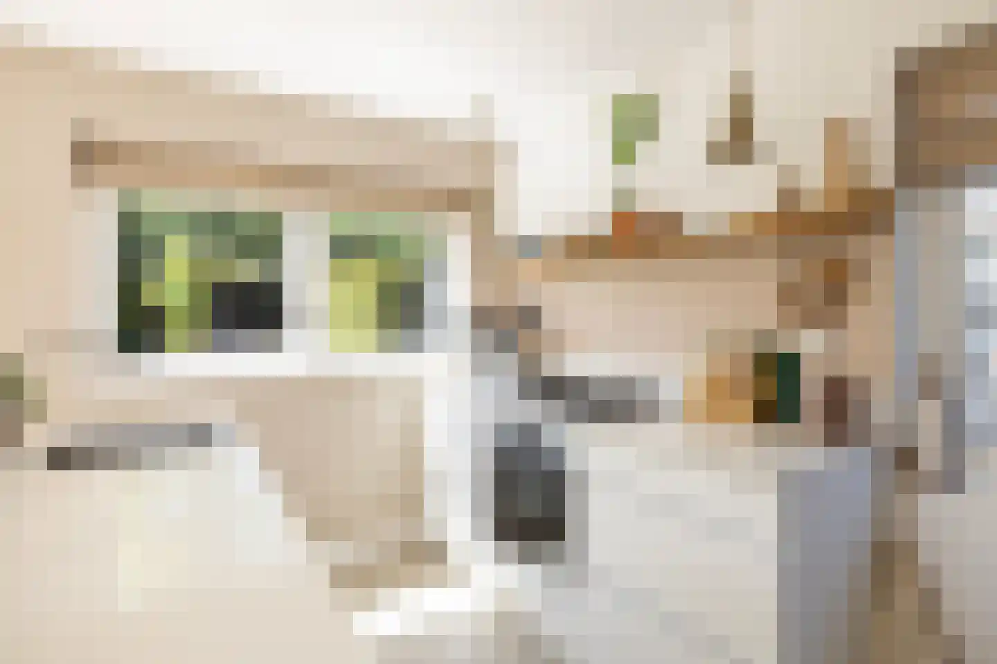 Goudenregenstraat 32 Bussum thumbnail 19
