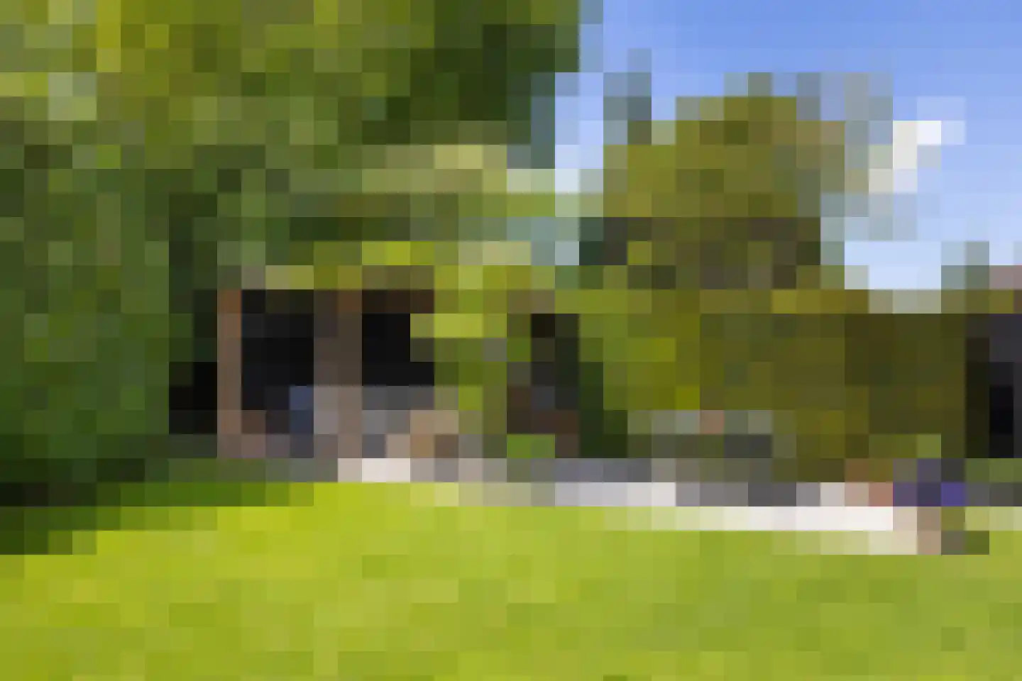 Goudenregenstraat 32 Bussum thumbnail 24