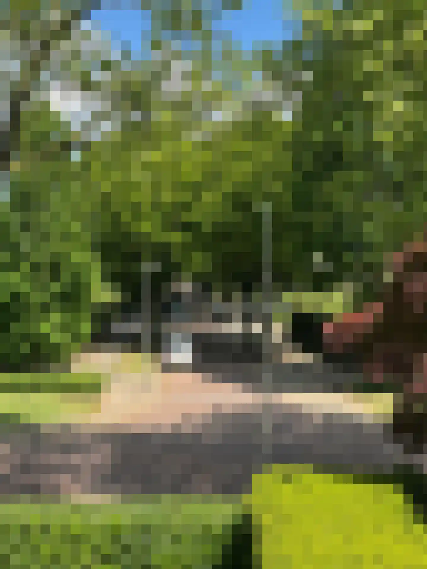 Goudenregenstraat 32 Bussum thumbnail 45