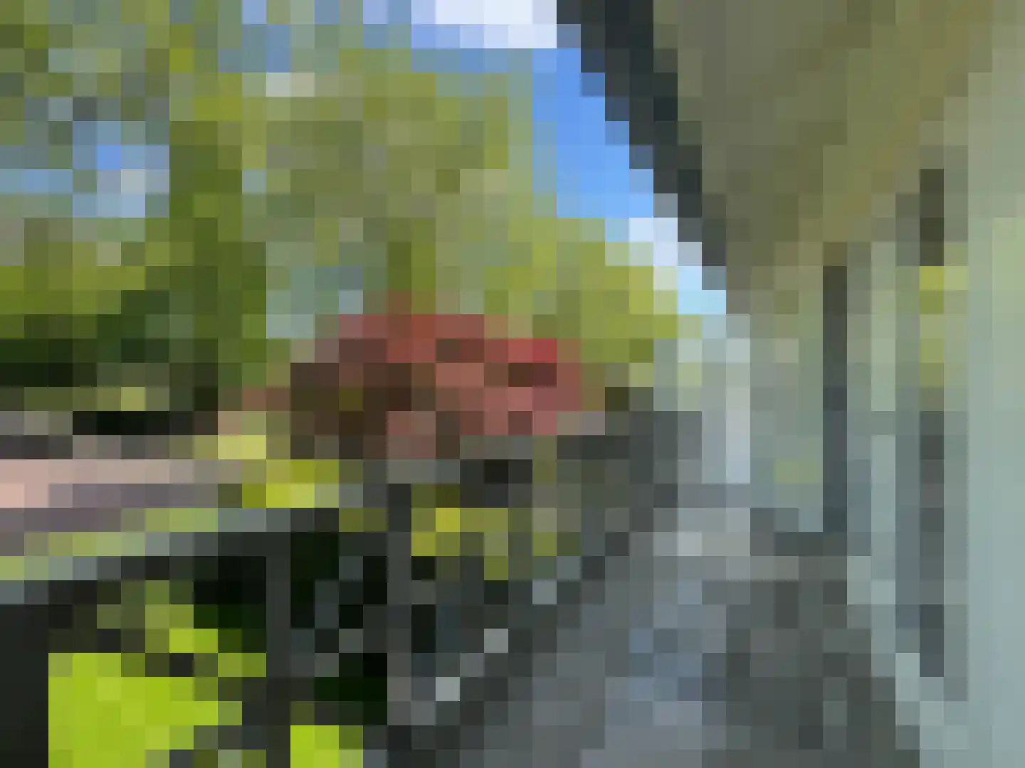 Goudenregenstraat 32 Bussum thumbnail 48