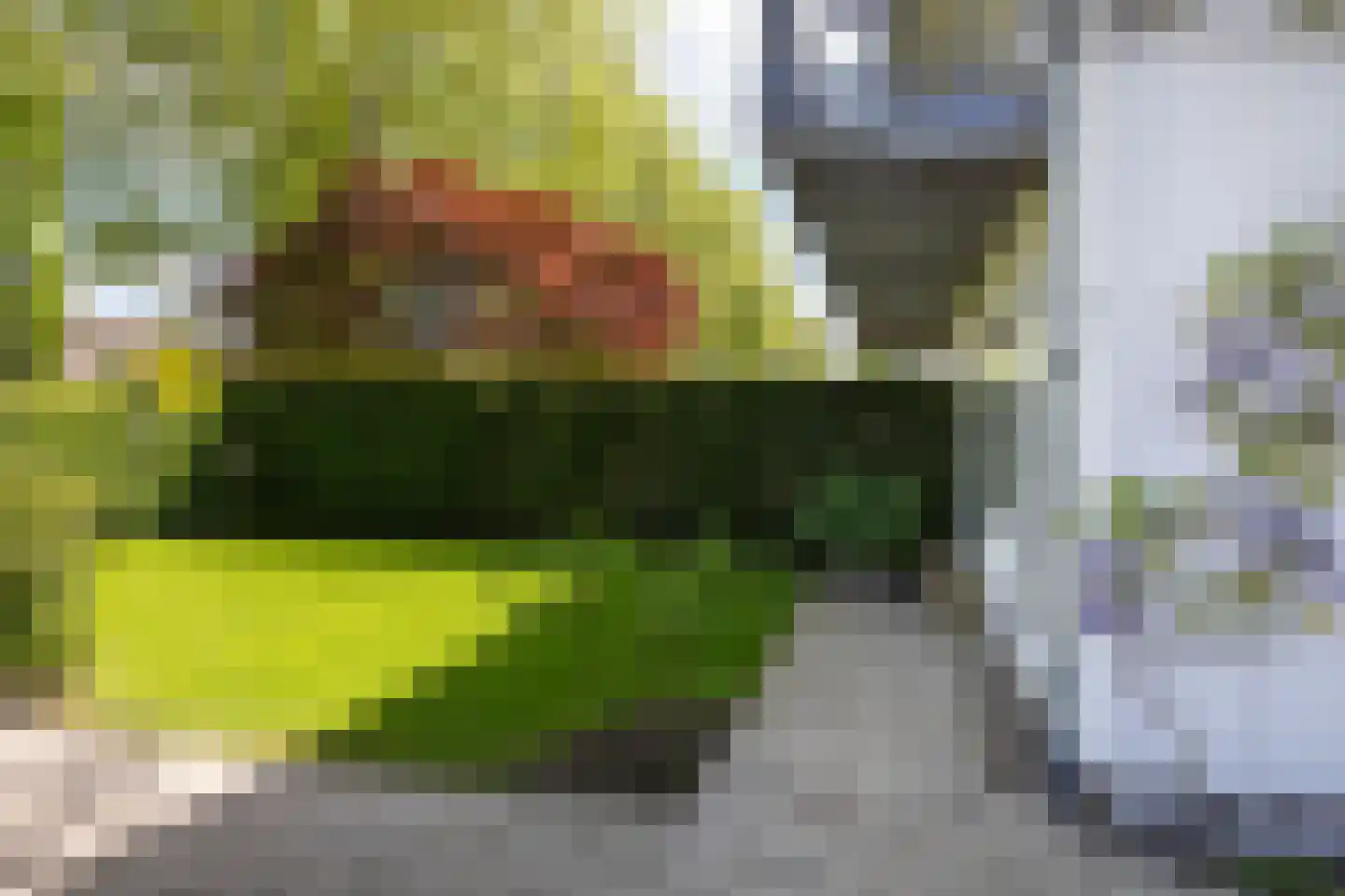 Goudenregenstraat 32 Bussum thumbnail 8
