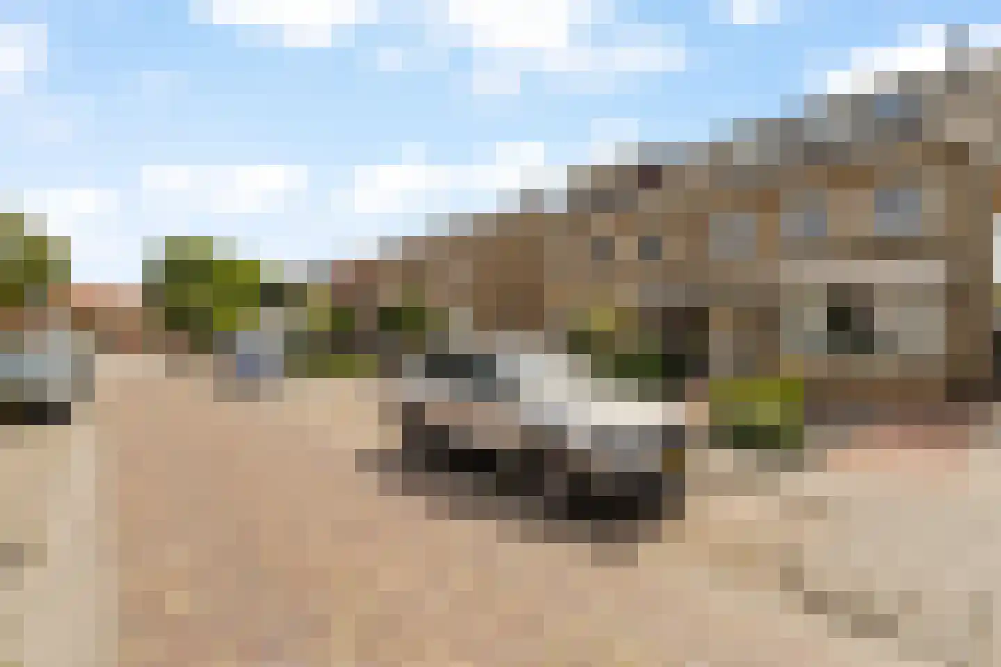 Goudenregenstraat 33 Capelle aan den IJssel thumbnail 29