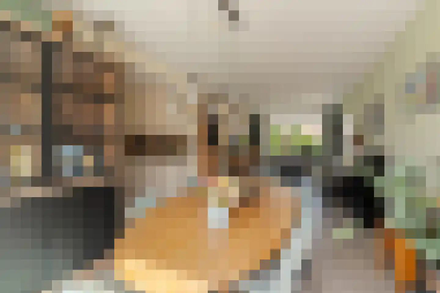 Goudenregenstraat 33 Capelle aan den IJssel thumbnail 5