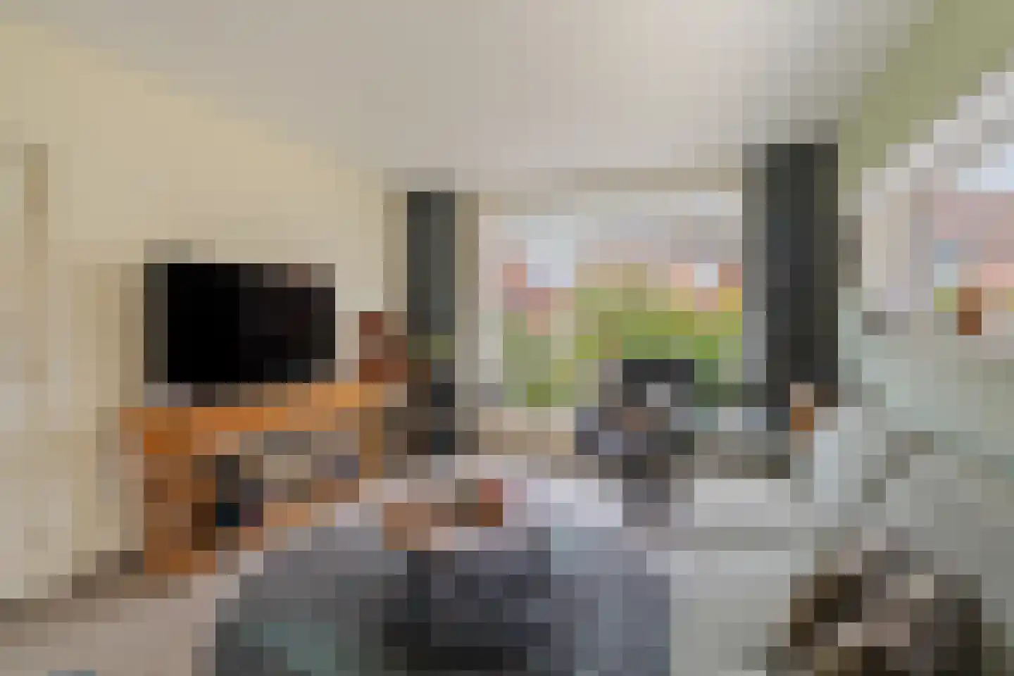 Goudenregenstraat 33 Capelle aan den IJssel thumbnail 6