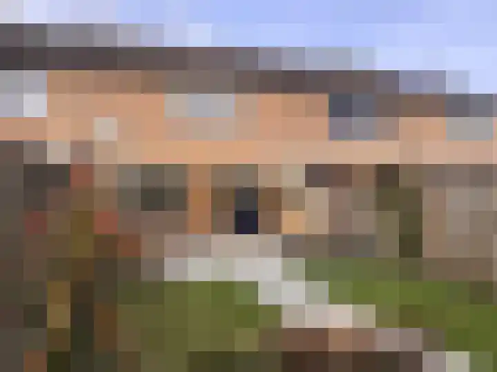 Goudenregenstraat 33 Nieuwleusen thumbnail 33
