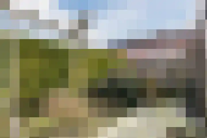 Goudenregenstraat 33 Nieuwleusen thumbnail 38