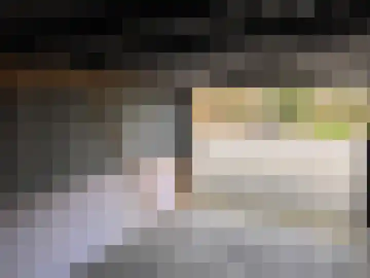 Goudenregenstraat 33 Nieuwleusen thumbnail 44