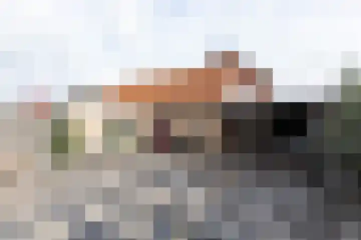 Goudenregenstraat 35 Doesburg thumbnail 45