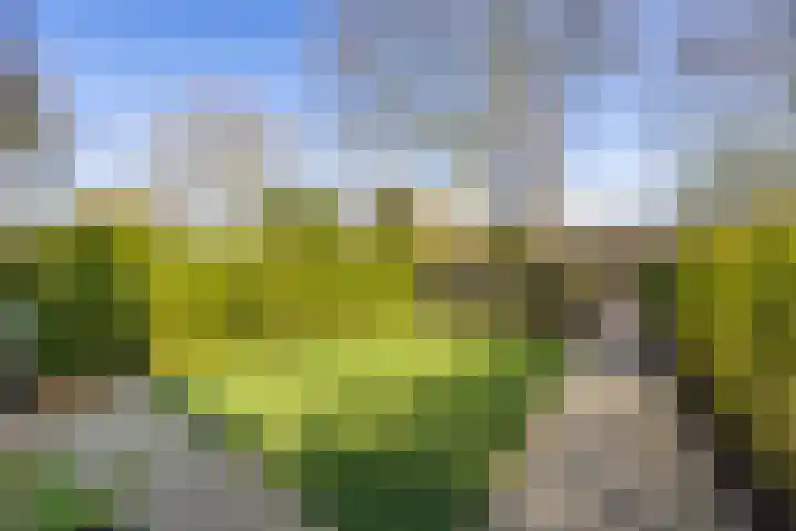 Goudenregenstraat 38 Bussum thumbnail 4