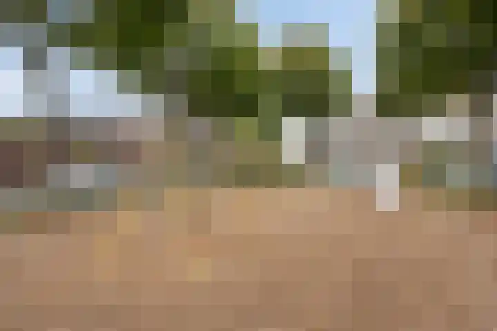 Goudenregenstraat 38 Ederveen thumbnail 35