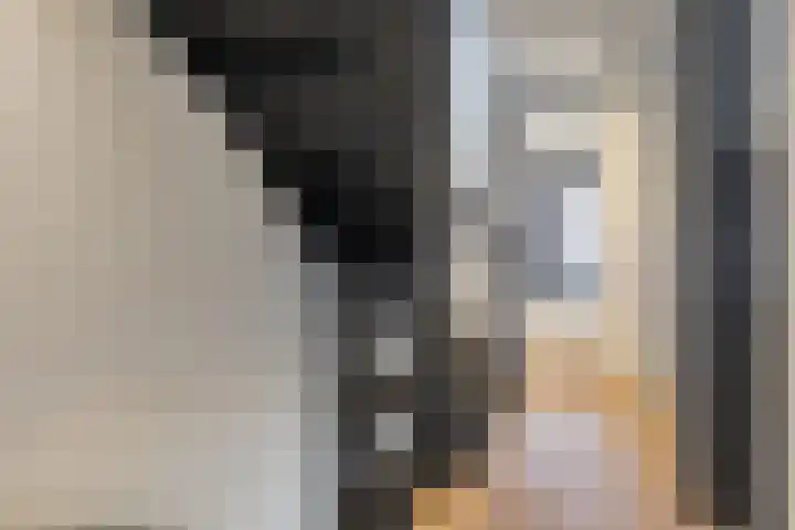 Goudenregenstraat 4 Eindhoven thumbnail 14