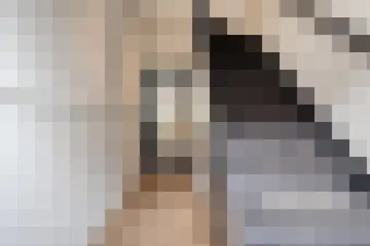 Goudenregenstraat 4 Eindhoven thumbnail 4