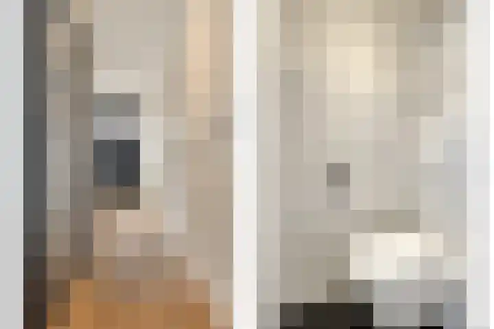 Goudenregenstraat 4 Eindhoven thumbnail 5