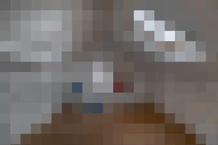 Goudenregenstraat 4 Waalwijk thumbnail 23