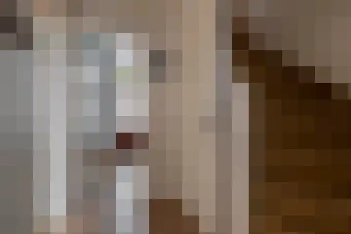 Goudenregenstraat 4 Waalwijk thumbnail 5