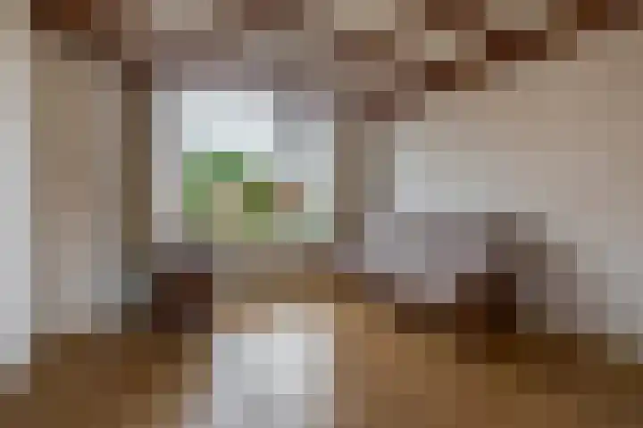Goudenregenstraat 4 Waalwijk thumbnail 6
