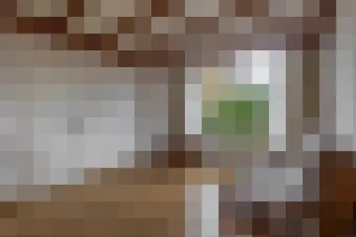 Goudenregenstraat 4 Waalwijk thumbnail 9