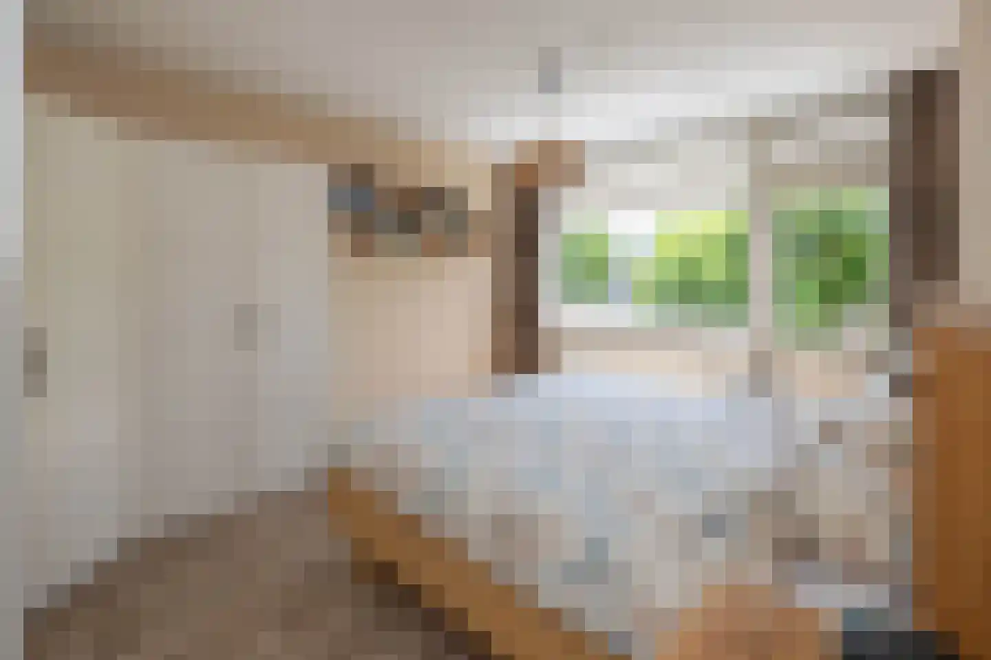 Goudenregenstraat 41 Borne thumbnail 13