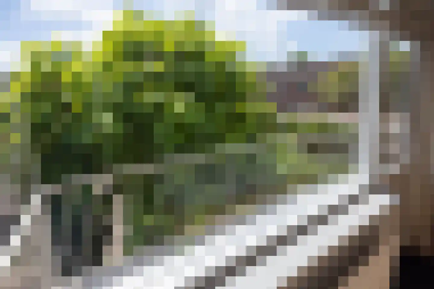 Goudenregenstraat 41 Borne thumbnail 15