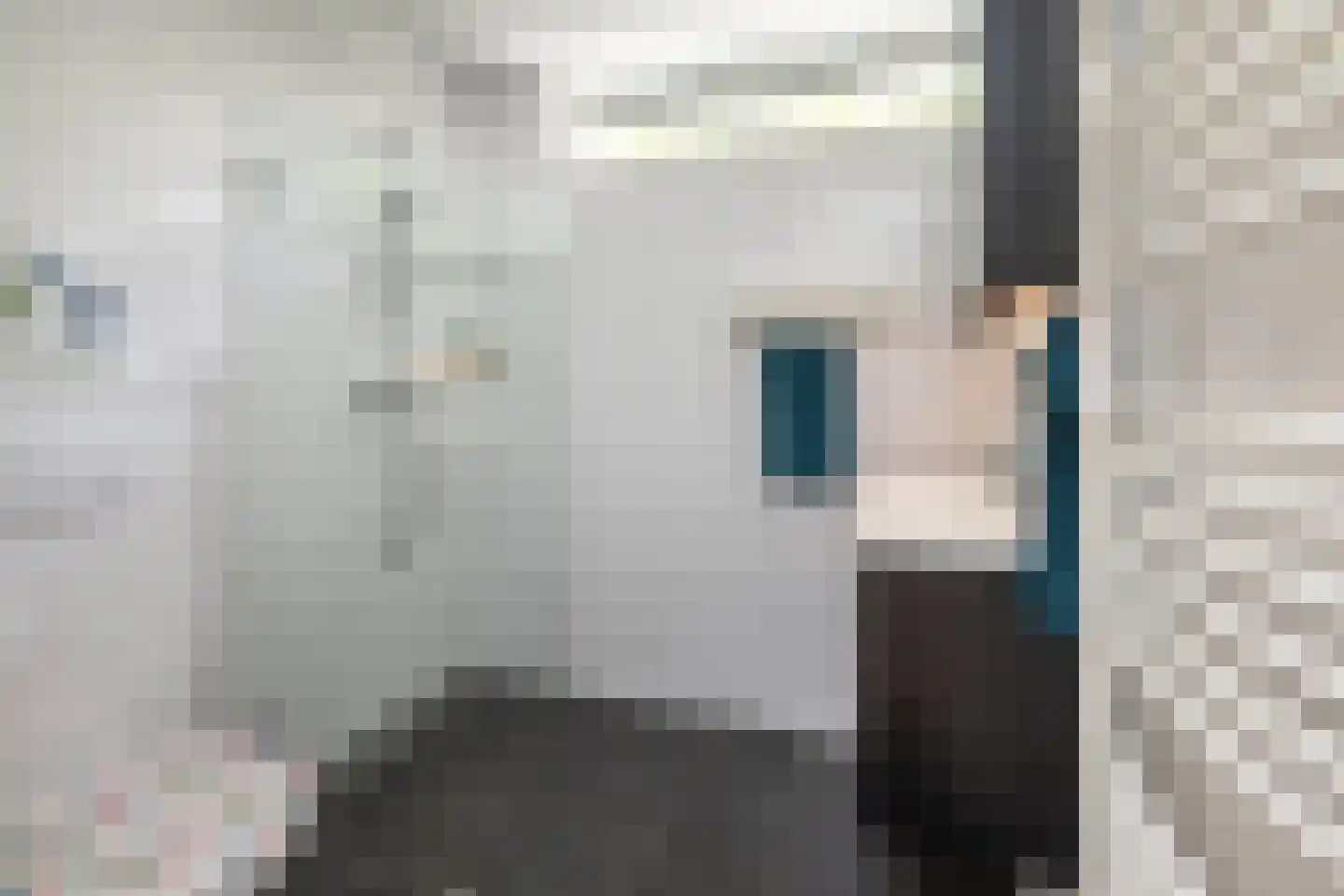 Goudenregenstraat 41 Borne thumbnail 16