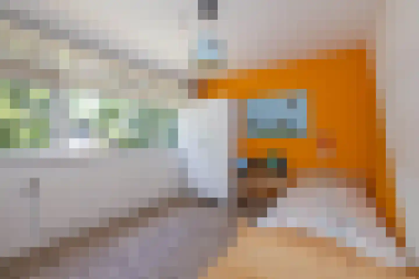 Goudenregenstraat 41 Borne thumbnail 18
