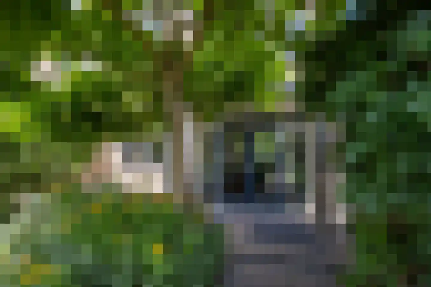 Goudenregenstraat 41 Borne thumbnail 27