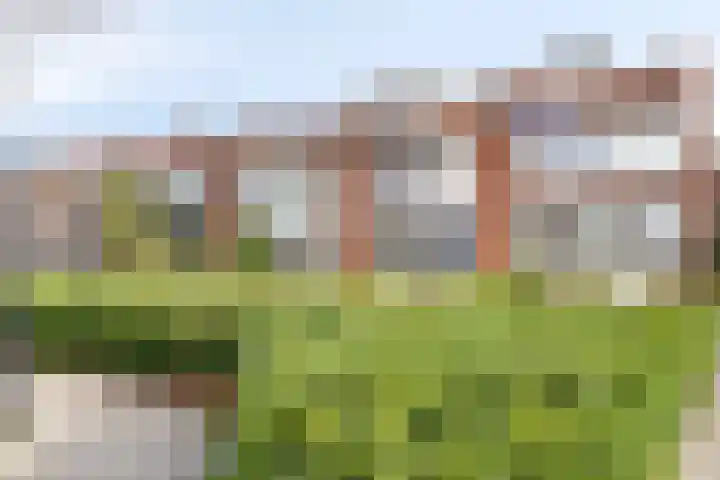 Goudenregenstraat 41 Steenbergen thumbnail 5